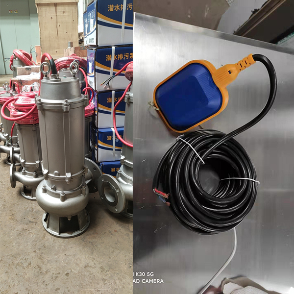 Stainless Steel Submersible Pump With Float Switch
